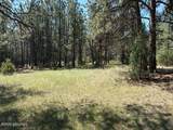 Tbd Homestead Road - Photo 8
