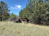 Tbd Homestead Road - Photo 9
