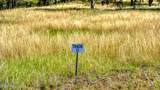 Tract R 11 Morning Glory Rd - Photo 44
