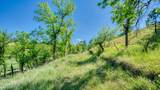 Tract E 11 Soaring Eagle Rd - Photo 31