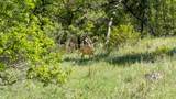 Tract E 11 Soaring Eagle Rd - Photo 41