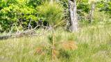 Tract E 11 Soaring Eagle Rd - Photo 42