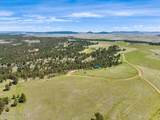 51 Derringer Trl - Photo 43