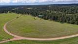 51 Derringer Trl - Photo 54