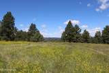 Tract 11 River Rd - Photo 32