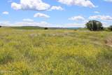 Tract 11 River Rd - Photo 33