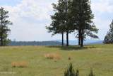 Tract 13 River Road - Photo 25