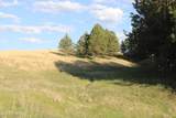 Tract 12 River Road - Photo 12
