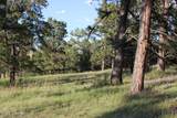 Tract 12 River Road - Photo 13