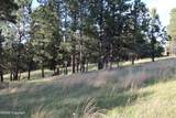 Tract 12 River Road - Photo 14