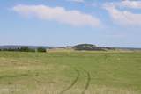 Tract 12 River Road - Photo 15