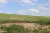 Tract 12 River Road - Photo 3