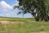 Tract 12 River Road - Photo 4