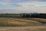 Tract 12 River Road - Photo 5