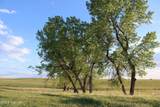 Tract 12 River Road - Photo 6
