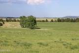 Tract 12 River Road - Photo 7