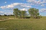 Tract 12 River Road - Photo 8