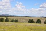 Tract 9 River Road - Photo 11