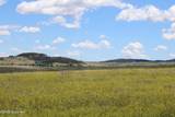 Tract 9 River Road - Photo 12