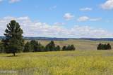 Tract 9 River Road - Photo 14
