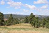 Tract 9 River Road - Photo 15