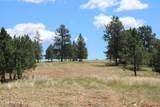 Tract 9 River Road - Photo 17