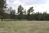 Tract 9 River Road - Photo 18