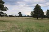 Tract 9 River Road - Photo 19