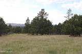 Tract 9 River Road - Photo 20