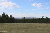 Tract 9 River Road - Photo 21
