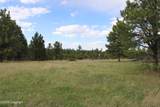 Tract 9 River Road - Photo 22