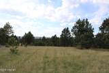 Tract 9 River Road - Photo 23