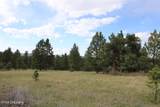 Tract 9 River Road - Photo 24