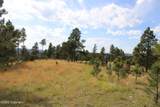 Tract 9 River Road - Photo 26