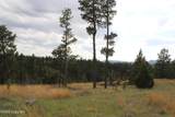 Tract 9 River Road - Photo 27