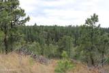 Tract 9 River Road - Photo 30