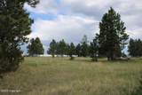 Tract 9 River Road - Photo 32