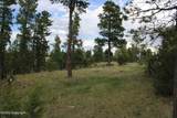 Tract 9 River Road - Photo 33