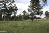 Tract 9 River Road - Photo 34