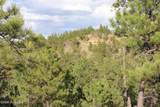 Tract 9 River Road - Photo 39