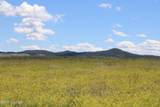 Tract 9 River Road - Photo 42
