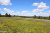 Tract 9 River Road - Photo 43