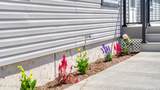 720 Birch St - Photo 44