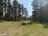 201 Quarry  Road - Photo 2