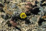 0000 Broken Trail Dr - Photo 43