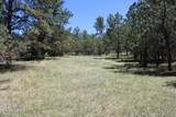Tract 23 Pack Saddle Trail - Photo 22