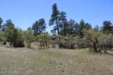 Tract 23 Pack Saddle Trail - Photo 23