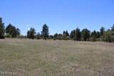 Tract 23 Pack Saddle Trail - Photo 24