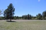 Tract 23 Pack Saddle Trail - Photo 25
