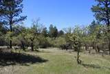 Tract 23 Pack Saddle Trail - Photo 26